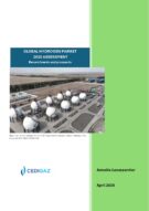 GLOBAL HYDROGEN MARKET - 2025 ASSESSMENT