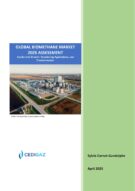 New Report: GLOBAL BIOMETHANE MARKET - 2025 ASSESSMENT + DATABASE