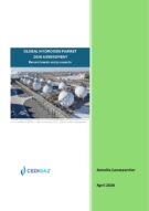GLOBAL HYDROGEN MARKET - 2026 ASSESSMENT